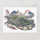 Briefkaart blauwe krab (Voorkant)