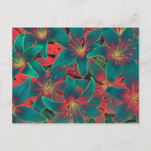 Briefkaart Blauwe Lilies