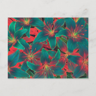 Briefkaart Blauwe Lilies