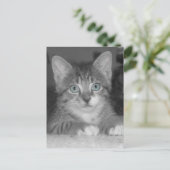 Briefkaart blauwe ogen (Staand voorkant)