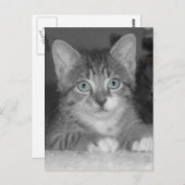 Briefkaart blauwe ogen (Voorkant / Achterkant)