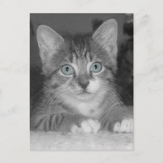 Briefkaart blauwe ogen (Voorkant)