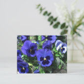 Briefkaart Blauwe Pansies 2013 (Staand voorkant)