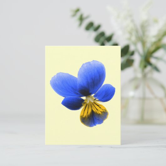 Briefkaart Blauwe Pansy (Staand voorkant)