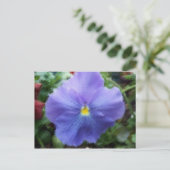 Briefkaart Blauwe Pansy (Staand voorkant)