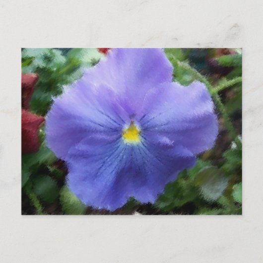 Briefkaart Blauwe Pansy (Voorkant)