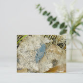 Briefkaart Blauwe sprinkhaan (Staand voorkant)