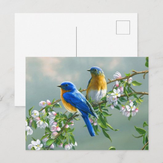 Briefkaart blauwe vogels (Voorkant / Achterkant)