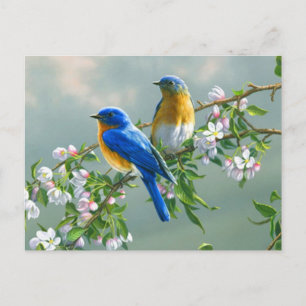 Briefkaart blauwe vogels