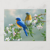 Briefkaart blauwe vogels (Voorkant)