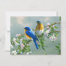 Briefkaart Blauwvogels