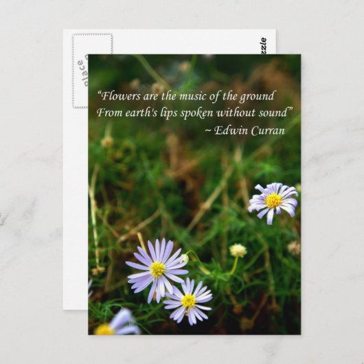 Briefkaart bloemen (Voorkant / Achterkant)