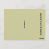 Briefkaart BLOEMEN (Achterkant)