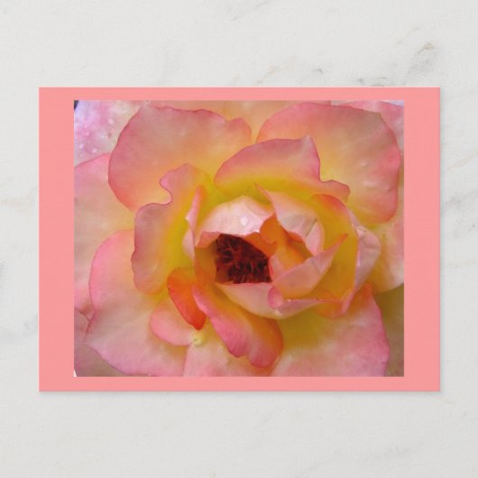 Briefkaart-bloemen-10 Briefkaart (Voorkant)