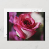 Briefkaart-bloemen-26 Briefkaart (Voorkant / Achterkant)