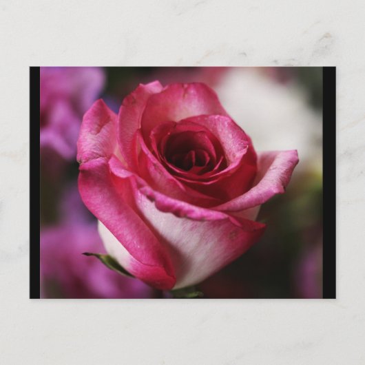 Briefkaart-bloemen-26 Briefkaart (Voorkant)