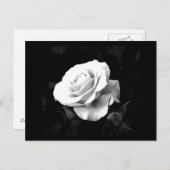 Briefkaart-bloemen-41 Briefkaart (Voorkant / Achterkant)