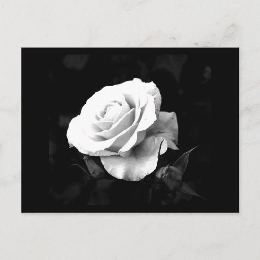 Briefkaart-bloemen-41 Briefkaart (Voorkant)