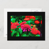 Briefkaart-bloemen-61 Briefkaart (Voorkant / Achterkant)