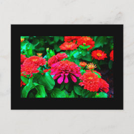 Briefkaart-bloemen-61 Briefkaart