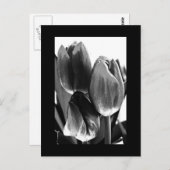 Briefkaart-bloemen-64 Briefkaart (Voorkant / Achterkant)