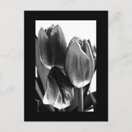 Briefkaart-bloemen-64 Briefkaart