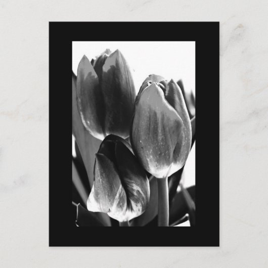 Briefkaart-bloemen-64 Briefkaart (Voorkant)