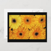 Briefkaart-bloemen-6 Briefkaart (Voorkant / Achterkant)