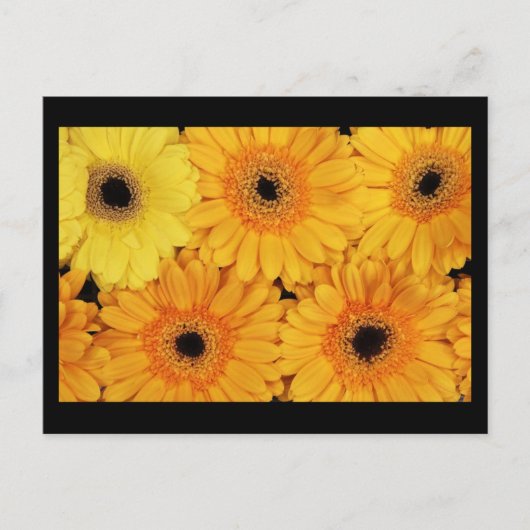 Briefkaart-bloemen-6 Briefkaart (Voorkant)