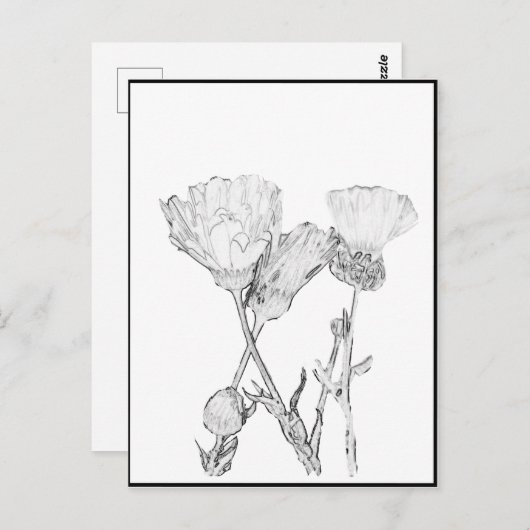 Briefkaart - Bloemen op kleur (Voorkant / Achterkant)