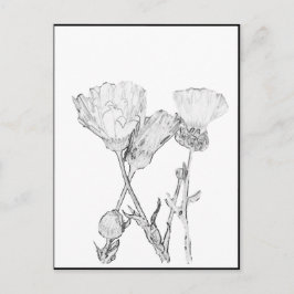 Briefkaart - Bloemen op kleur