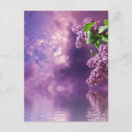 Briefkaart bloesems