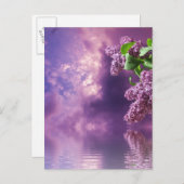 Briefkaart bloesems (Voorkant / Achterkant)