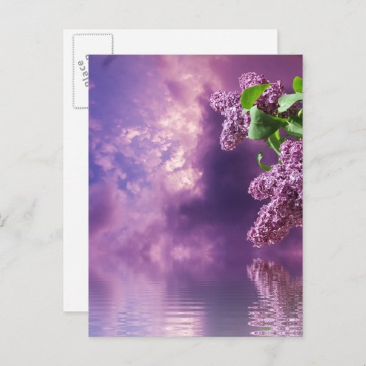 Briefkaart bloesems (Voorkant / Achterkant)