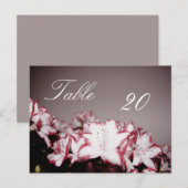 Briefkaart Blokkeertabelnummer (Voorkant / Achterkant)