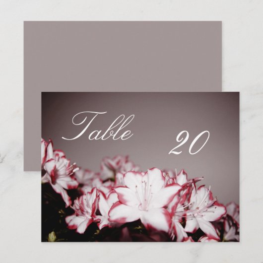 Briefkaart Blokkeertabelnummer (Voorkant / Achterkant)