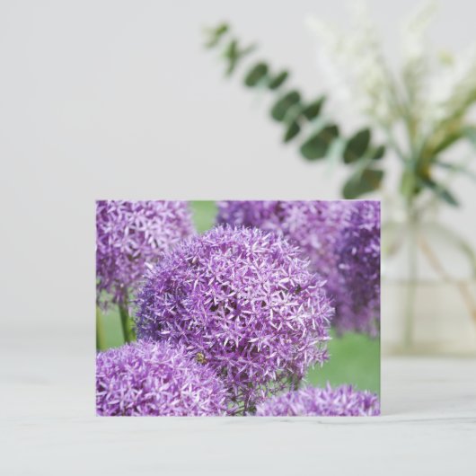 Briefkaart Blooming Allium Flowers (Staand voorkant)