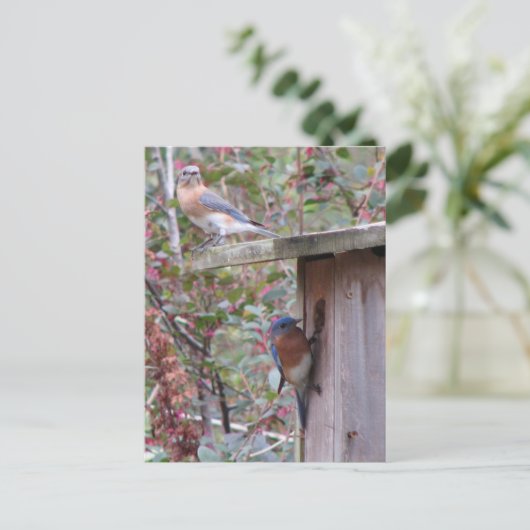 Briefkaart Bluebird Pair (Staand voorkant)