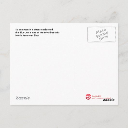 Briefkaart Bluejay (Achterkant)