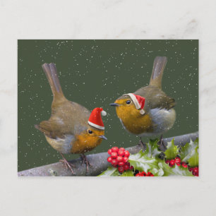 Briefkaart Bobbin-Robins