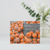 Briefkaart boerderij pompoenen (Staand voorkant)