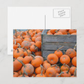 Briefkaart boerderij pompoenen (Voorkant / Achterkant)