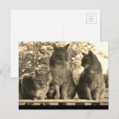 Briefkaart: Boerderijen Briefkaart (Voorkant / Achterkant)