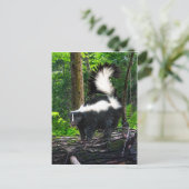 briefkaart "Bomba" (Staand voorkant)