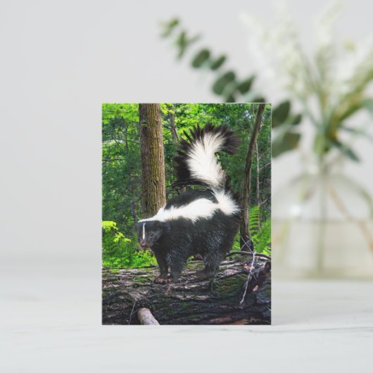 briefkaart "Bomba" (Staand voorkant)