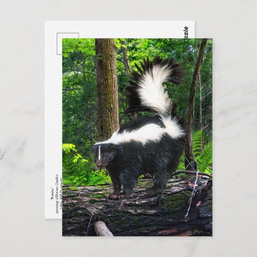 briefkaart "Bomba" (Voorkant / Achterkant)