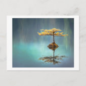 BRIEFKAART : BOOM OP EEN EILAND (Voorkant)