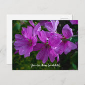 Briefkaart boomgaard (Voorkant / Achterkant)