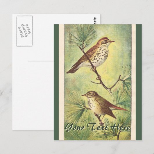 Briefkaart borstels (Voorkant / Achterkant)