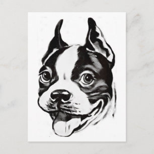 Briefkaart Boston Terrier